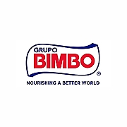 Bimbo Logo