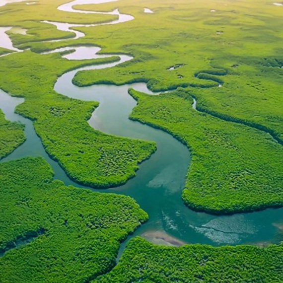 An aerial view of river tributaries.