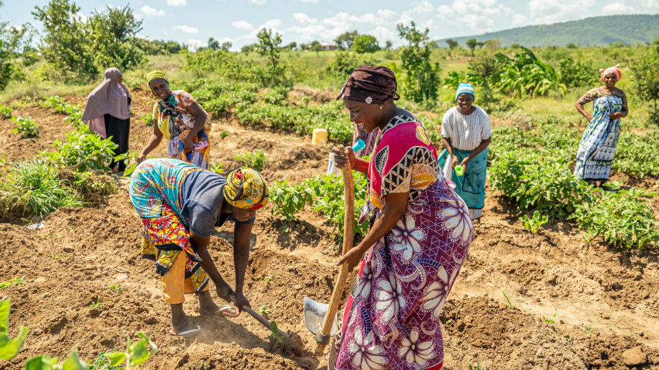 Women wearing brightly patterned garments working outdoors in a rural setting.