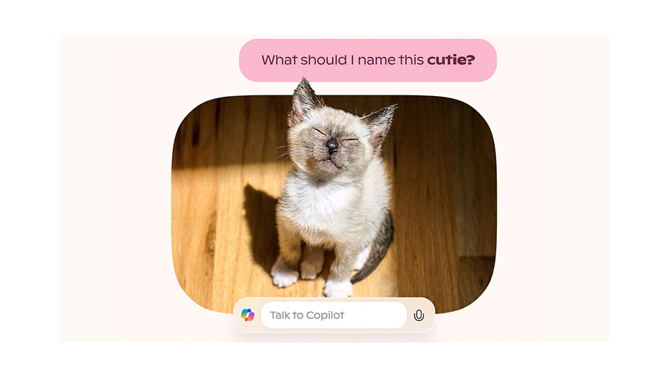 A kitten basking in the sunlight with a speech bubble that says "What should I name this cutie?" and a copilot text entry field