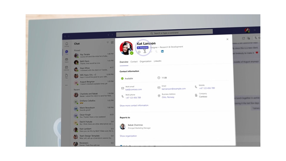 Screenshot showing  a person’s contact information that includes pronouns