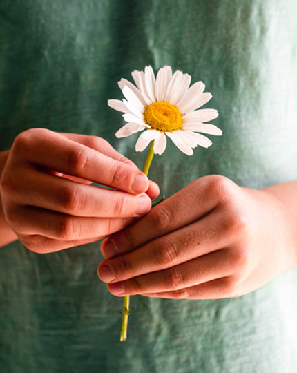 A close up of a person’s torso holding a single flower with both hands