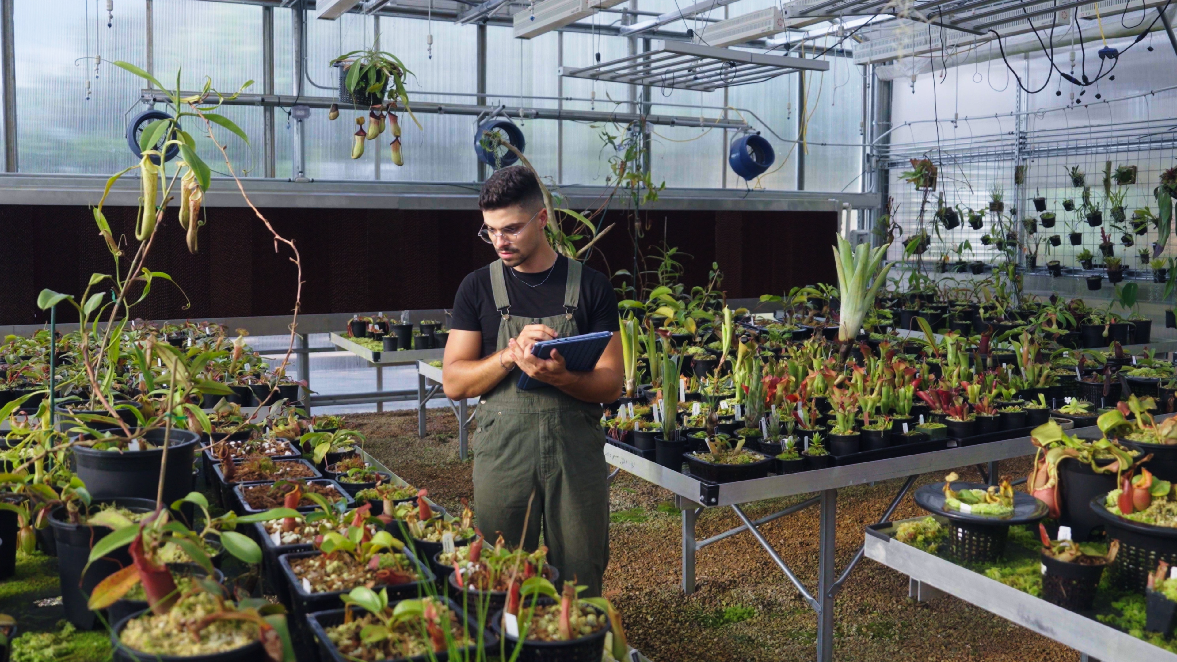 A man wearing overalls inside a greenhouse, using his Surface device with a pen